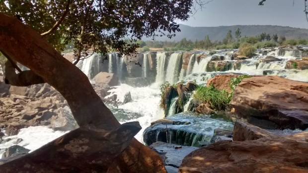 3692759580718061410account_id1