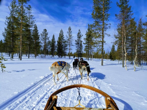 8667f4b0-9c9a-45e7-a7c2-a6e8c3b649a4